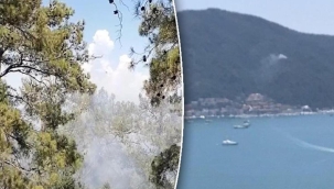 Fethiye ve Bodrum'da orman yangını: Müdahale başlatıldı