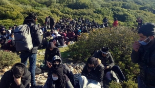İzmir'de 1 haftada 120 kaçak göçmen yakalandı