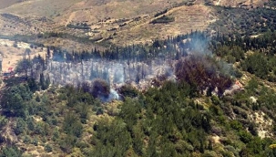 İzmir'de korkutan orman yangını