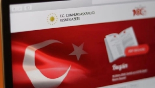 Sevgi Yiğit, Cumhurbaşkanı Başdanışmanı oldu