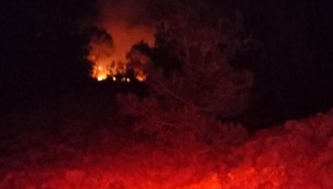 Adana’da gece çıkan orman yangını kontrol altına alındı