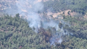 Balıkesir'de korkutan orman yangını
