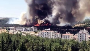 Gaziantep'te orman yangını! Vali Gül duyurdu: Kontrol altına alındı