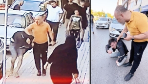 Babanın intikamı