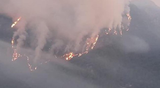Osmaniye'deki orman yangınında 3'üncü gün